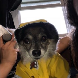 Meet your Posher, Nez